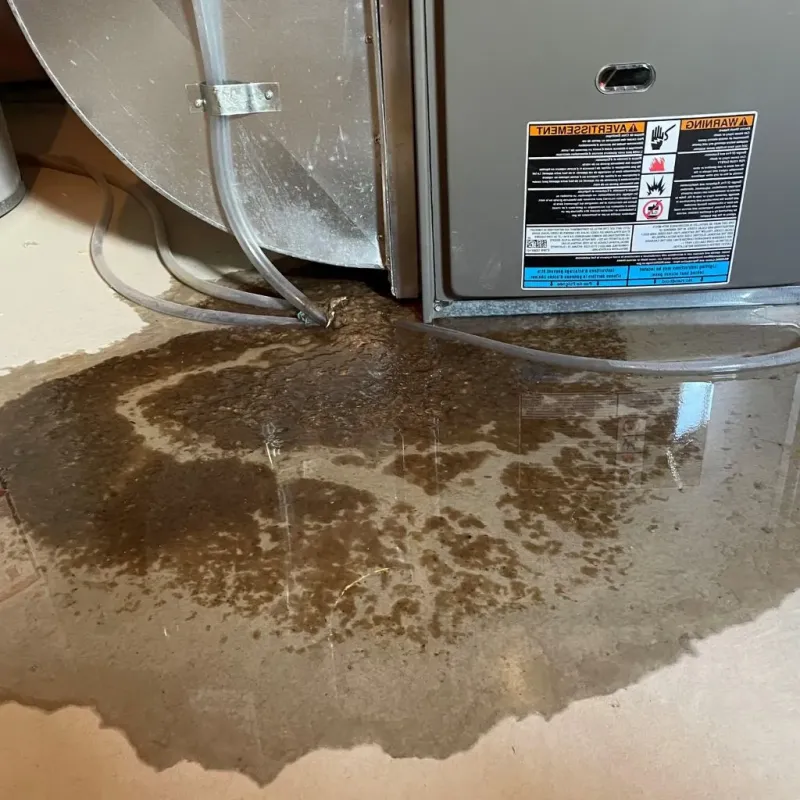 Pipe Burst and Leak Restoration in Booneville, AR