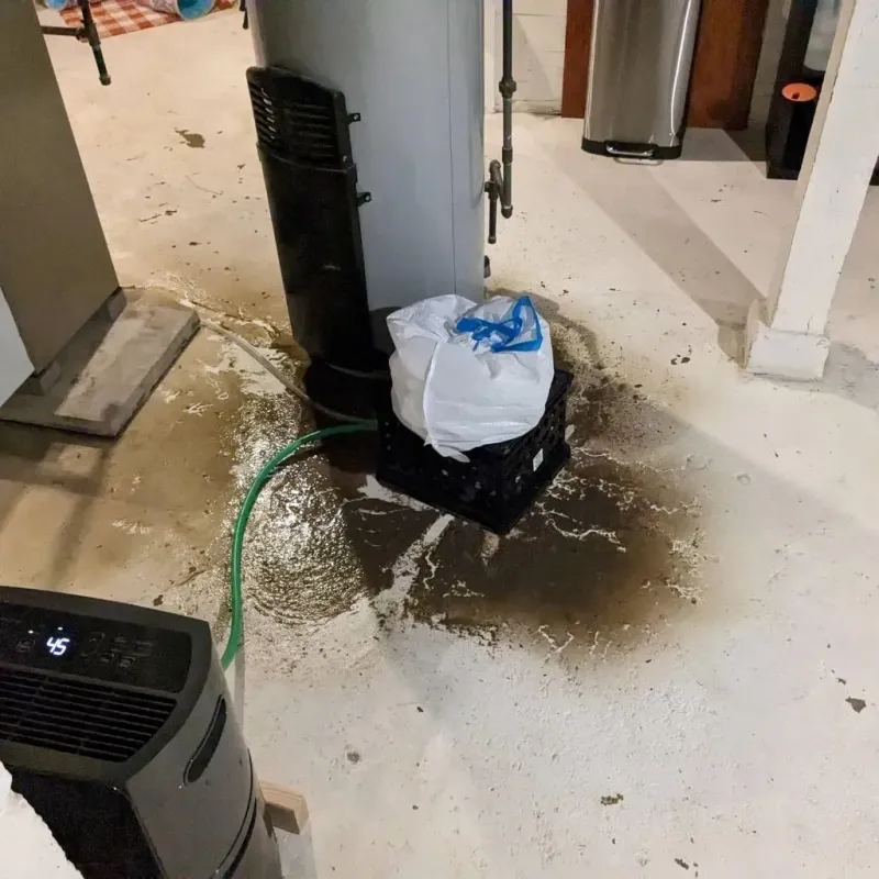 Sewage Backup Cleanup Service in Booneville, AR